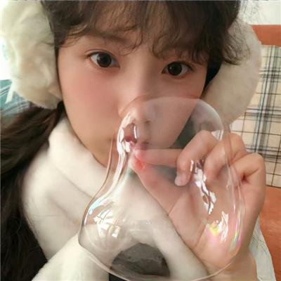 大明星醒目狗